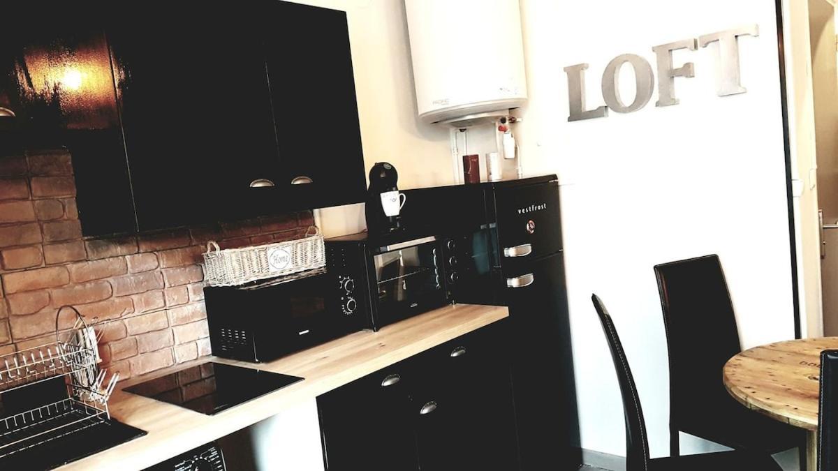 Montagnes Russes Apartment Grenoble Bagian luar foto