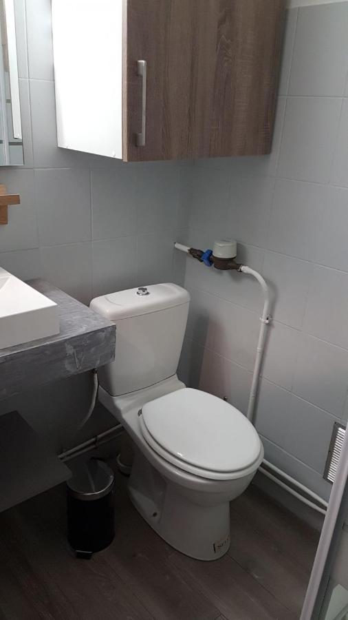 Montagnes Russes Apartment Grenoble Bagian luar foto
